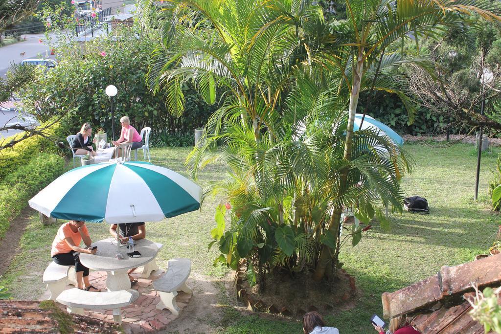Hillview Inn Κάμερον Χάιλαντς Εξωτερικό φωτογραφία