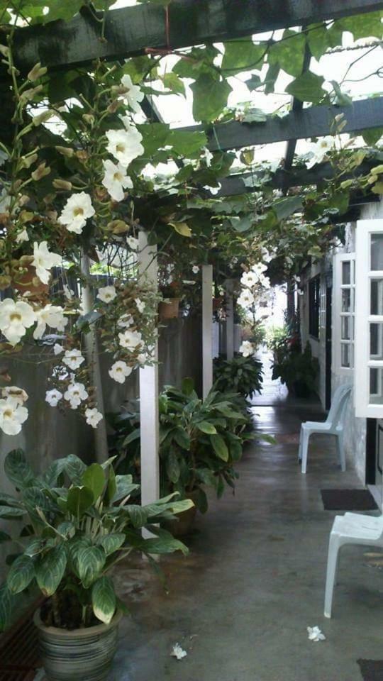 Hillview Inn Κάμερον Χάιλαντς Εξωτερικό φωτογραφία