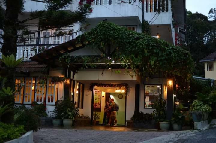 Hillview Inn Κάμερον Χάιλαντς Εξωτερικό φωτογραφία