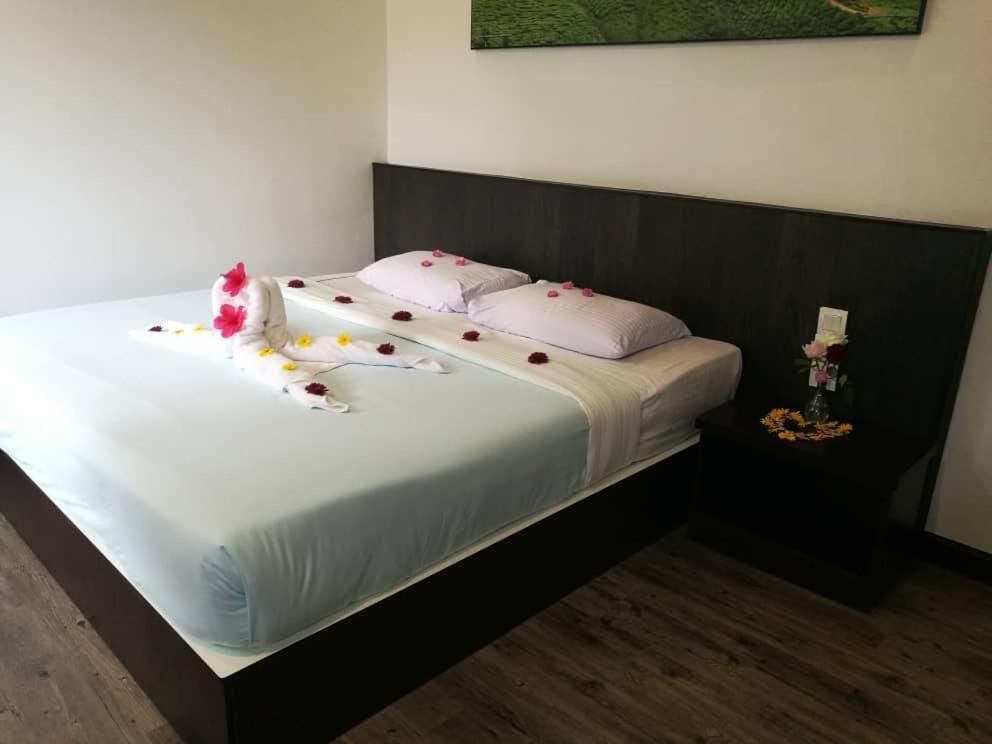 Hillview Inn Κάμερον Χάιλαντς Εξωτερικό φωτογραφία
