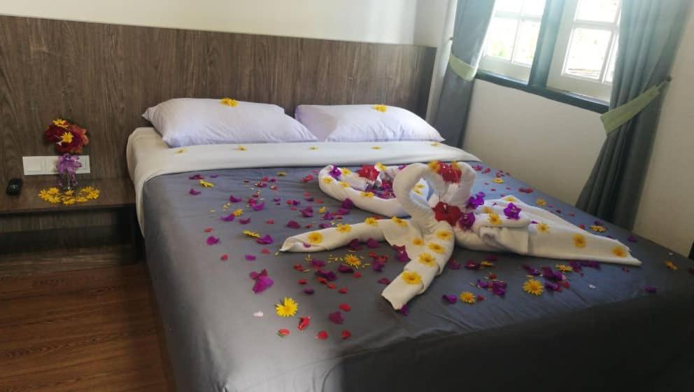 Hillview Inn Κάμερον Χάιλαντς Εξωτερικό φωτογραφία